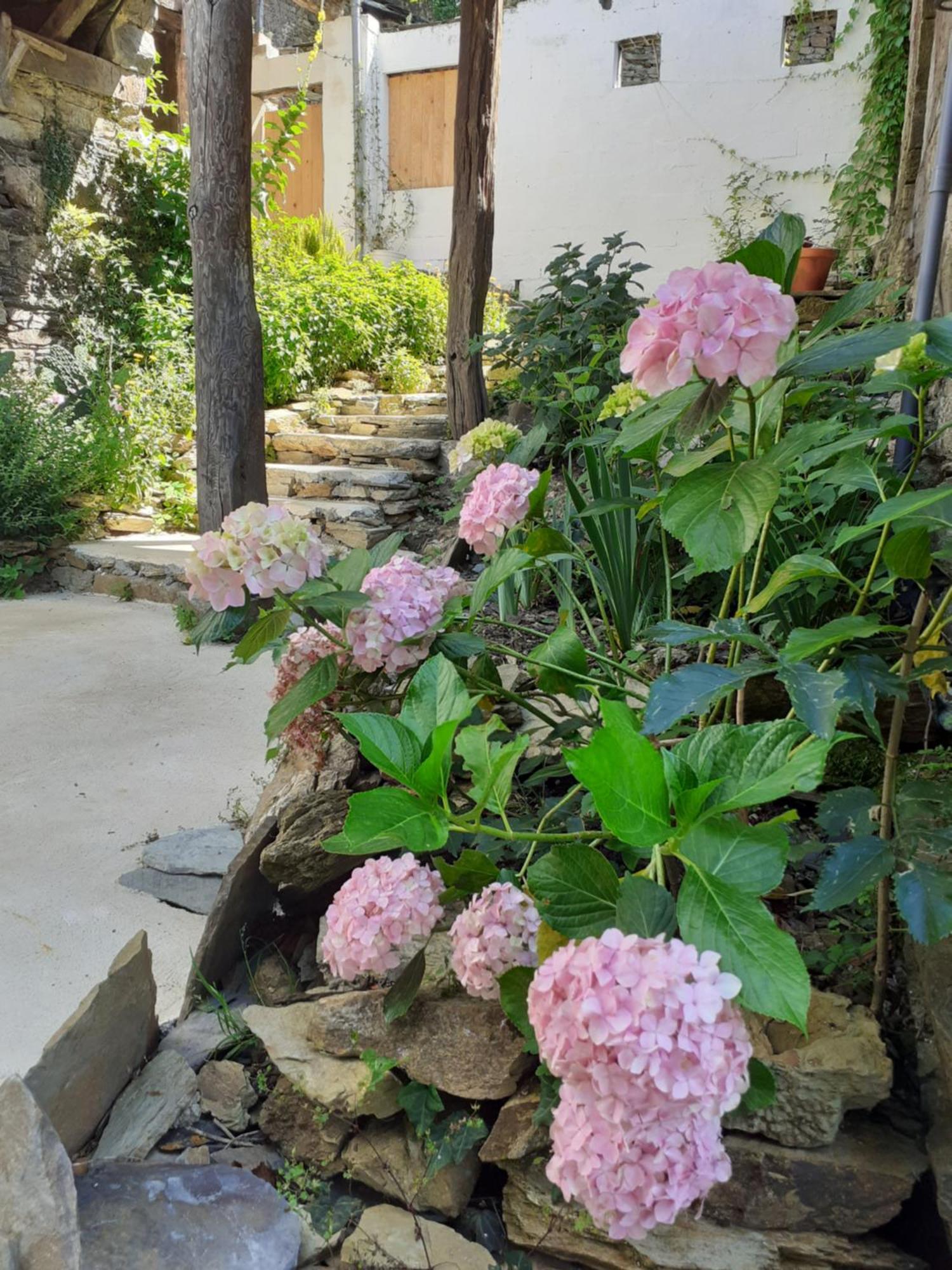 Sons Do Eo Apartamentos Turisticos Baleira Екстер'єр фото
